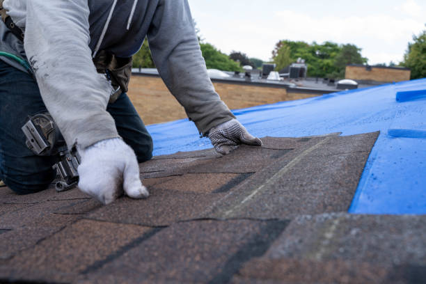 Professional Roofing Contractor in Sabetha, KS