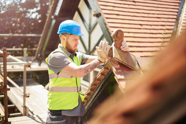 Best Commercial Roofing Services  in Sabetha, KS